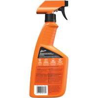Multi-Purpose Auto Cleaner, 16 oz./473 ml, Trigger Bottle GTA Hardware Inc