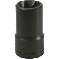 E-20 Torx&reg; Socket GTA Hardware Inc