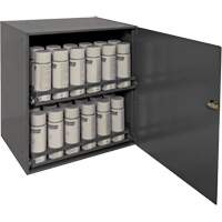 Aerosol Storage Cabinet, Steel, 21-7/8" H x 15-15/16" W x 20-5/16" D, Grey GTA Hardware Inc