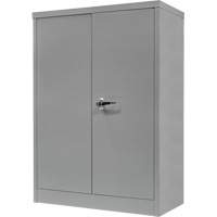 Armoire de rangement &agrave; hauteur de comptoir, Acier, 2 Tablettes, 42" h x 30" la x 15" P, Gris GTA Hardware Inc