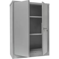 Armoire de rangement &agrave; hauteur de comptoir, Acier, 2 Tablettes, 42" h x 30" la x 15" P, Gris GTA Hardware Inc