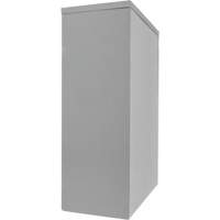 Armoire de rangement &agrave; hauteur de comptoir, Acier, 2 Tablettes, 42" h x 30" la x 15" P, Gris GTA Hardware Inc