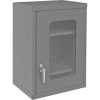 Armoire de rangement murale avec portes transparentes, 26-15/16" h x 18-1/8" la x 13-11/16" p, 2 tablettes, Acier, Gris GTA Hardware Inc