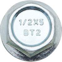 Wedge Bolts, Carbon Steel, 1/2" x 2" GTA Hardware Inc