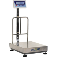Balance &agrave; plateforme et d'&eacute;tabli Cyclone 300, Capacit&eacute; de 600 lb / 300 kg, 17-3/4" lo x 23-3/5" la GTA Hardware Inc
