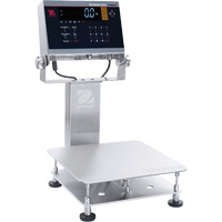Defender 6000 Washdown Bench Scale, 25 lbs. Capacity, 11-4/5" L x 11-4/5" W GTA Hardware Inc