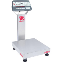 Defender 5000 Multi-Functional Bench Scale, 25  lbs. Capacity, 14" L x 12" W GTA Hardware Inc