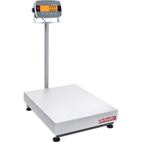Defender 3000 i-D33 Bench  Scale, 300 lbs. Capacity GTA Hardware Inc