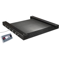 Defender 2500 Drum Scale, 500 lbs. Capacity, 2.5' L x 2.5' W GTA Hardware Inc