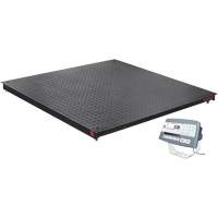 DEFENDER 5000 Floor Scale, 2500 lbs. Capacity, 48" W x 48" L GTA Hardware Inc