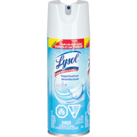 Disinfectant Spray, 350 g, Aerosol Can GTA Hardware Inc
