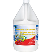 Glass & Multi-Surface Cleaners, 4 L, Jug GTA Hardware Inc