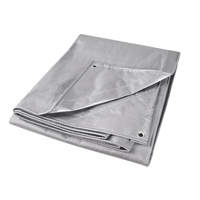 B&acirc;che, Super robuste, Argent, 10' x 8' x 12 mils GTA Hardware Inc