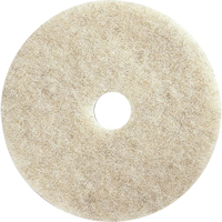 Floor Maintenance Pads, 21", Burnishing, Brown GTA Hardware Inc