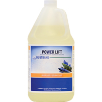 D&eacute;graissant industriel Power Lift, 4 L, Cruche GTA Hardware Inc