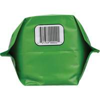 Nettoyant pour les mains biod&eacute;gradable, Poudre, 4,5 lb, Pochette, Sans parfum GTA Hardware Inc