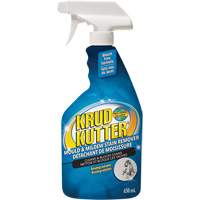 Vaporisateur contre les moisissures, 650 ml, Bouteille &agrave; g&acirc;chette GTA Hardware Inc