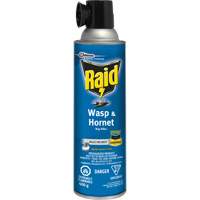Insecticide contre les gu&ecirc;pes et les frelons Raid, 400 g, &agrave; base de solvant GTA Hardware Inc