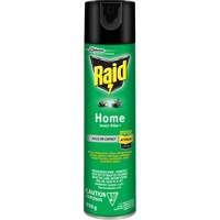 Insecticide pour insectes domestiques Raid, 350 g, &agrave; base de solvant GTA Hardware Inc