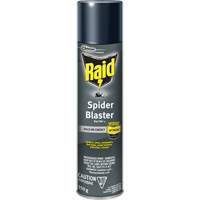 Insecticide exterminateur daraign&eacute;es Raid, 350 g, Canette a&eacute;rosol, &agrave; base de solvant GTA Hardware Inc