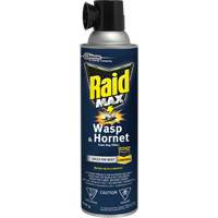 Mousse insecticide contre les gu&ecirc;pes et les frelons Raid Max, 500 g, Canette a&eacute;rosol, &agrave; base de solvant GTA Hardware Inc