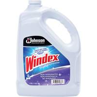 Nettoyant multi-surface non ammoniac&eacute; de Windex, 3,8 L, Cruche GTA Hardware Inc