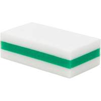 &eacute;ponge de nettoyage eXpunge Plus, &agrave; r&eacute;curer, 3-3/8" la x 6-1/4" l GTA Hardware Inc