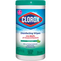Wipers, Wipes & Rags
