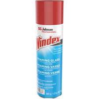 Nettoyant moussant pour vitres Windex, 560 g, Canette a&eacute;rosol GTA Hardware Inc