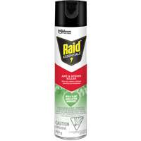 Insecticide pour araign&eacute;es et fourmis Essentials Raid, 350 g, Canette a&eacute;rosol GTA Hardware Inc