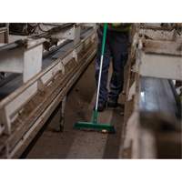 Push Broom Head, Fine/Stiff Bristles, 16-1/2", Polyester/Polypropylene, Green GTA Hardware Inc