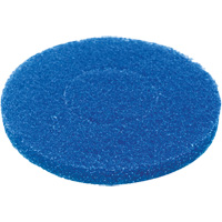 Floor Pad, Cleaning, Blue GTA Hardware Inc