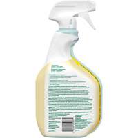 Nettoyant tout usage CloroxPro Clorox EcoClean, 946 ml, Bouteille &agrave; g&acirc;chette GTA Hardware Inc