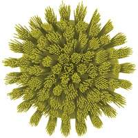 Brosse ronde HyDrive pour perceuse, Soies Tr&egrave;s ferme, Longueur de 3-1/10", Jaune GTA Hardware Inc
