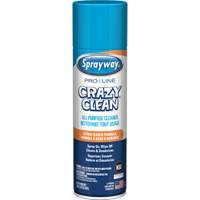 Pro Line Crazy Clean&reg; All Purpose Cleaner, 19 oz., Aerosol Can GTA Hardware Inc