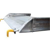 Aluminum Walk Ramp, 1000 lbs. Capacity, 38" W x 193-1/8" L GTA Hardware Inc