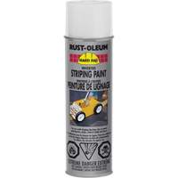 Inverted Marking Paint Spray, White, Aerosol Can GTA Hardware Inc