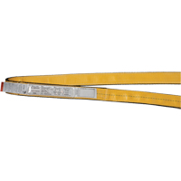 &eacute;lingues de levage en polyester, Pli Simple, Sans fin, Type 5, 2" la x 3' lo, Capacit&eacute; verticale 6200 lb GTA Hardware Inc