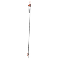Mini palan &agrave; levier, Lev&eacute;e 10', Cabacit&eacute; 1000 lb (0,5 tonne), Chaîne en Acier GTA Hardware Inc