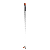 Mini palan &agrave; levier, Lev&eacute;e 10', Cabacit&eacute; 1000 lb (0,5 tonne), Chaîne en Acier GTA Hardware Inc