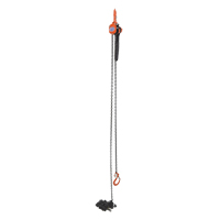Mini palan &agrave; levier, Lev&eacute;e 15', Cabacit&eacute; 1000 lb (0,5 tonne), Chaîne en Acier GTA Hardware Inc