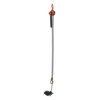 Mini palan &agrave; levier, Lev&eacute;e 15', Cabacit&eacute; 1000 lb (0,5 tonne), Chaîne en Acier GTA Hardware Inc