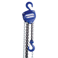 Chain Hoist, 10' Lift, 2000 lbs. (1 tons) Capacity, Load Chain Grade 80 Chain GTA Hardware Inc