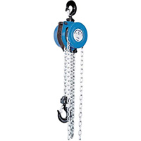 Tralift&reg; Manual Chain Hoist, 10' Lift, 4000 lbs. (2 tons) Capacity, Grade 80 Chain GTA Hardware Inc