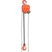 Chain Hoist, 10' Lift, 1000 lbs. (0.45 tons) Capacity, Alloy Steel Chain GTA Hardware Inc
