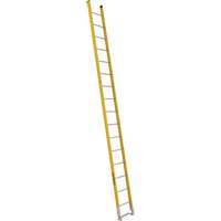 Single Section Straight Ladder - 6100 Series, 16', Fibreglass, 375 lbs., CSA Grade 1AA GTA Hardware Inc