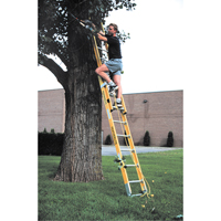 Industrial Heavy-Duty Extension Ladders (6200 Series), 375 lbs. Cap., 13' H, Grade 1AA GTA Hardware Inc