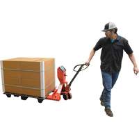 Transpalette, 48" lo x 27,5" la, Capacit&eacute; de 5000 lb GTA Hardware Inc