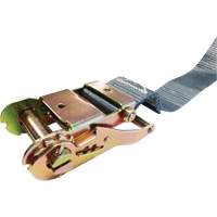Tendeur d'arrimage &agrave; cliquet, Syst&egrave;me E-Track, 2" , 16' , Charge d'utilisation max. 1333 lb (605 kg) GTA Hardware Inc