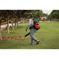 M18 FUEL Dual Battery Backpack Blower Kit, 18 V, 155 MPH Output, Battery Powered GTA Hardware Inc